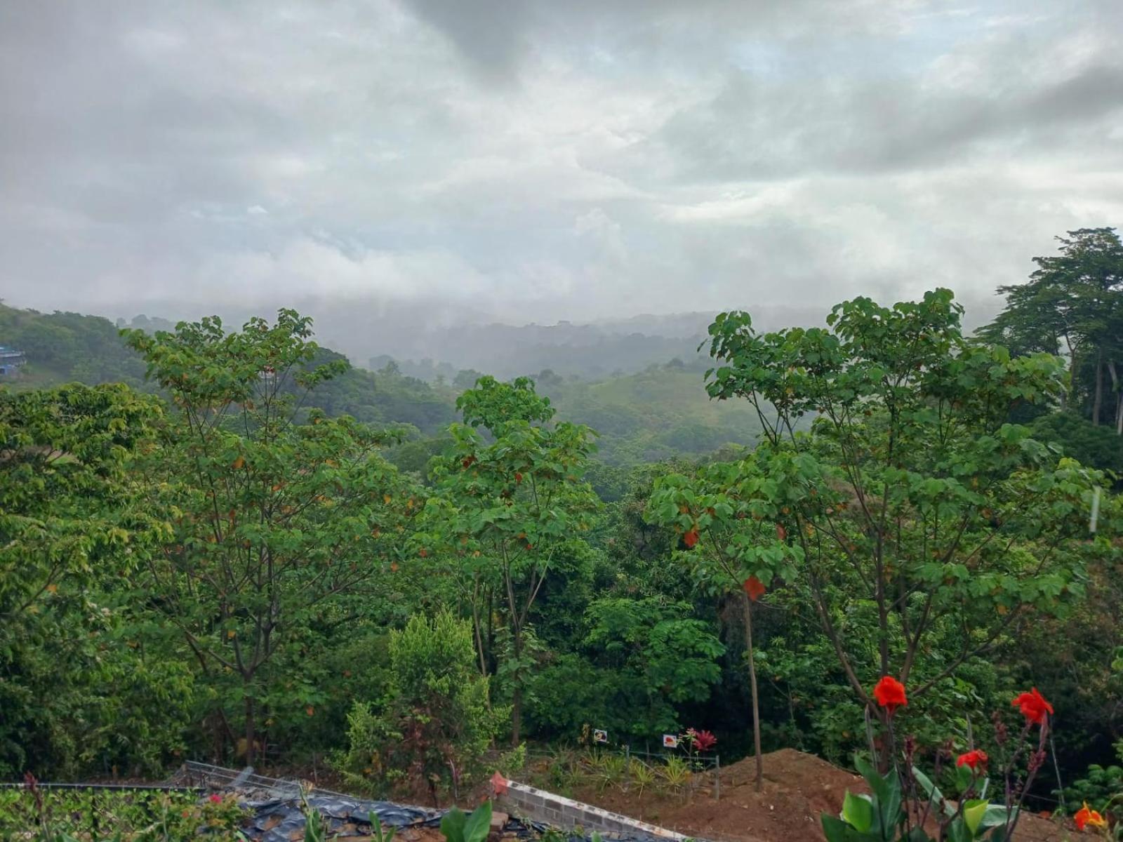 Mountain Top Park Hotel Quepos Exterior photo